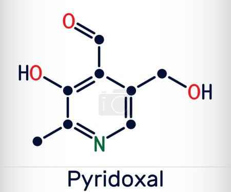 Téléchargez les illustrations : Molécule pyridoxale. C'est une forme de vitamine B6. Formule chimique squelettique. Illustration vectorielle - en licence libre de droit