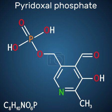 Illustration for Pyridoxal phosphate, PLP molecule. It is active form of vitamin B6 and coenzyme. Structural chemical formula on the dark blue background. Vector illustration - Royalty Free Image