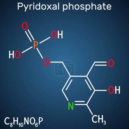 Illustration for Pyridoxal phosphate, PLP molecule. It is active form of vitamin B6 and coenzyme. Skeletal chemical formula. Vector illustration - Royalty Free Image