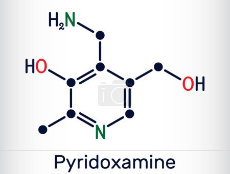 Illustration for Pyridoxamine molecule. It is form of vitamin B6. Skeletal chemical formula. Vector illustration - Royalty Free Image