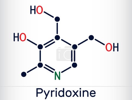 Illustration for Pyridoxine molecule. It is form of vitamin B6. Skeletal chemical formula. Vector illustration - Royalty Free Image