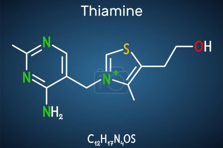 Ilustración de Tiamina, molécula de vitamina B1. Se encuentra en los alimentos, utilizados como suplemento dietético y medicamentos. Fórmula química estructural sobre el fondo azul oscuro. Ilustración vectorial - Imagen libre de derechos