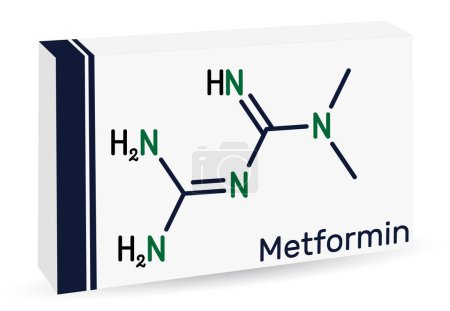Metformin molecule. It is biguanide antihyperglycemic agent  used in management of type II diabetes. Skeletal chemical formula. Paper packaging for drugs. Vector illustration