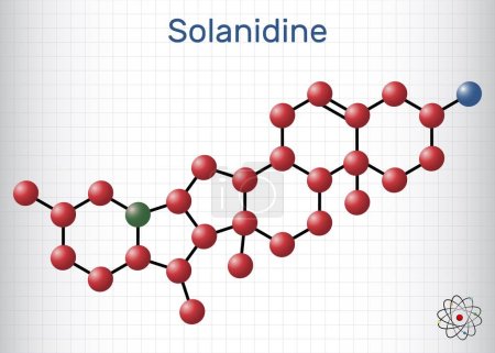 Ilustración de Molécula de solanidina. Es alcaloide esteroide venenoso, metabolito de la planta, toxina. Fórmula química estructural y modelo molecular. Hoja de papel en una jaula. Ilustración vectorial - Imagen libre de derechos