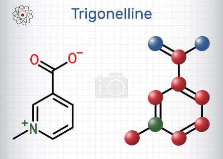 Ilustración de Trigonelline planta alcaloide molécula. Es producto de la metilación de la niacina vitamina B3, niacina metilada. Fórmula química estructural, modelo molecular. Hoja de papel en una jaula. Ilustración vectorial - Imagen libre de derechos