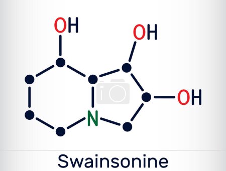 Téléchargez les illustrations : Swainsonine, molécule de tridolgosir. C'est alcaloïde d'indolizidine de la plante Swainsona, avec l'activité immunomodulatrice. Formule chimique squelettique. Illustration vectorielle - en licence libre de droit