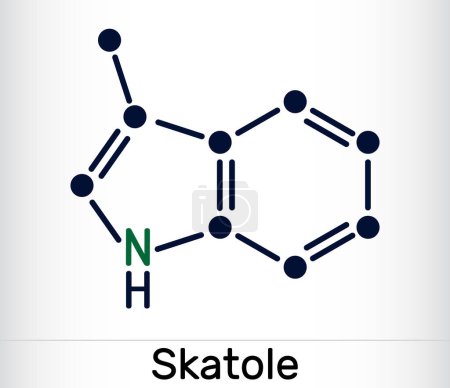 Ilustración de Skatole, molécula de 3-metilinol. Pertenece a la familia Indole, utilizada como fragancia y fijador en muchos perfumes y como compuesto aromático. Fórmula química esquelética. Ilustración vectorial - Imagen libre de derechos