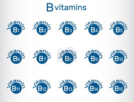 Ilustración de Vitaminas del grupo B, conjunto de iconos. Ilustración vectorial - Imagen libre de derechos