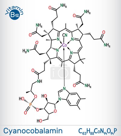 Ilustración de Cianocobalamina, molécula de cobalamina. Es una forma de vitamina B12. Fórmula química esquelética. Ilustración vectorial - Imagen libre de derechos