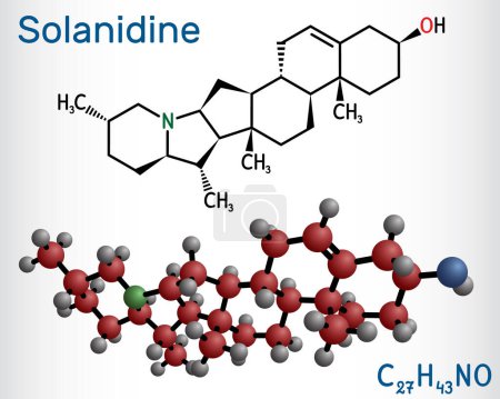 Ilustración de Molécula de solanidina. Es alcaloide esteroide venenoso, metabolito de la planta, toxina. Fórmula química estructural y modelo molecular. Ilustración vectorial - Imagen libre de derechos