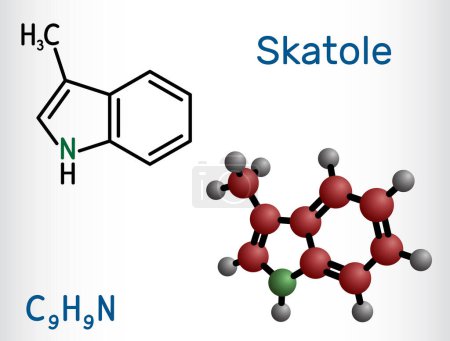 Ilustración de Skatole, molécula de 3-metilinol. Pertenece a la familia Indole, utilizada como fragancia y fijador en muchos perfumes y como compuesto aromático. Fórmula química estructural, modelo molecular. Ilustración vectorial - Imagen libre de derechos