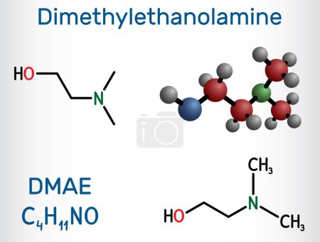 Illustration for Dimethylethanolamine, dimethylaminoethanol, DMAE, DMEA molecule. It is tertiary amine, curing agent and a radical scavenger. Structural chemical formula, molecule model. Vector illustration - Royalty Free Image