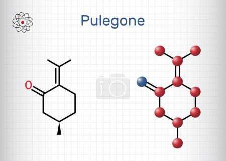 Illustration for Pulegone molecule. It is natural component of essential oils. Structural chemical formula and molecule model. Sheet of paper in a cage. Vector illustration - Royalty Free Image