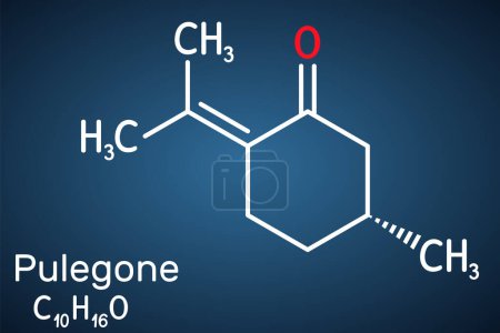 Illustration for Pulegone molecule. It is natural component of essential oils. Structural chemical formula and molecule model. on the dark blue background. Vector illustration - Royalty Free Image
