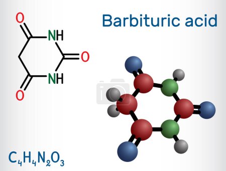 Ilustración de Ácido barbitúrico, malonilurea o molécula de 6-hidroxiuracilo. Es compuesto principal de medicamentos barbitúricos. Fórmula química estructural y modelo molecular. Ilustración vectorial - Imagen libre de derechos
