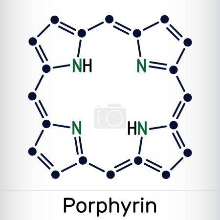 Porphin oder Porphyrin, Mitglied des Porphyrin-Moleküls. Es handelt sich um eine Klasse makrozyklischer aromatischer Verbindungen, als Häm-Kofaktor von Hämoglobin, Zytochromen. Skelettchemische Formel. Vektorillustration