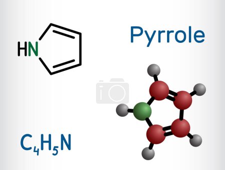 Téléchargez les illustrations : Molécule de pyrrole. C'est composé aromatique hétérocyclique, produit naturel, trouvé dans Coffea arabica. Formule chimique structurelle, modèle moléculaire. Illustration vectorielle - en licence libre de droit