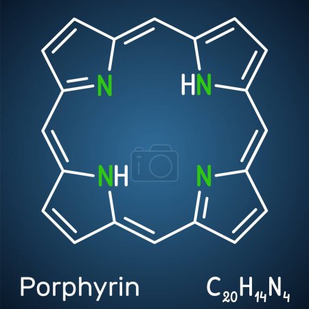 Porfina o Porfirina, miembro de la molécula de porfirinas. Es una clase de compuestos aromáticos macrocíclicos, como cofactor hemo de hemoglobina, citocromos. Fondo azul oscuro. Ilustración vectorial