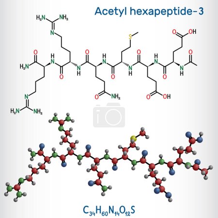 Ilustración de Acetil hexapeptide-3, acetil hexapeptide-8, molécula de argirelina. Péptido, fragmento de SNAP-25, un sustrato de toxina botulínica. Fórmula química estructural, modelo molecular. Ilustración vectorial - Imagen libre de derechos