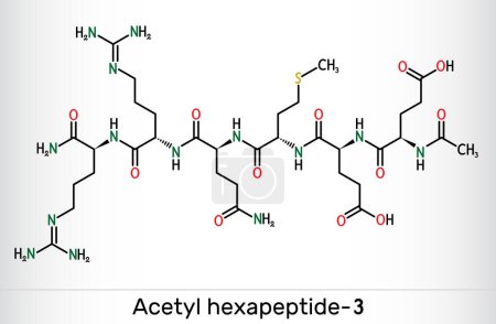 Acetil hexapeptide-3, acetil hexapeptide-8, molécula de argirelina. Péptido, fragmento de SNAP-25, un sustrato de toxina botulínica. Fórmula química esquelética. Ilustración vectorial