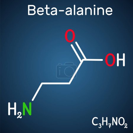 Téléchargez les illustrations : Molécule de bêta-alanine. C'est un acide aminé bêta naturel. Formule chimique squelettique. Emballage de papier pour drogues. Illustration vectorielle - en licence libre de droit