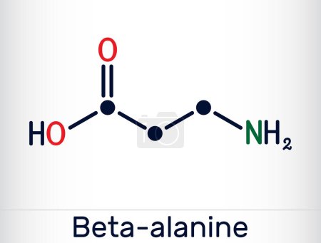 Téléchargez les illustrations : Molécule de bêta-alanine. C'est un acide aminé bêta naturel. Formule chimique squelettique. Emballage de papier pour drogues. Illustration vectorielle - en licence libre de droit