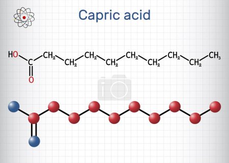Illustration for Capric acid, decanoic acid or decylic acid molecule. It is saturated fatty acid. Structural chemical formula, molecule model. Sheet of paper in a cage. Vector illustration - Royalty Free Image