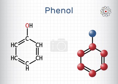 Phenol, carbolic acid molecule. Structural chemical formula, molecule model. Sheet of paper in a cage. Vector illustration