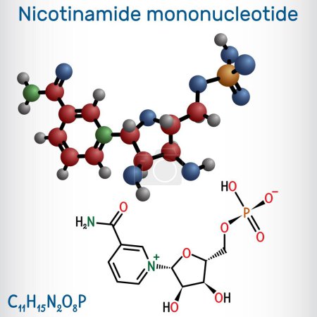 Mononucleótido de nicotinamida, molécula NMN. Es naturalmente anti-envejecimiento metabolito, precursor de NAD +. Fórmula química estructural, modelo molecular. Ilustración vectorial