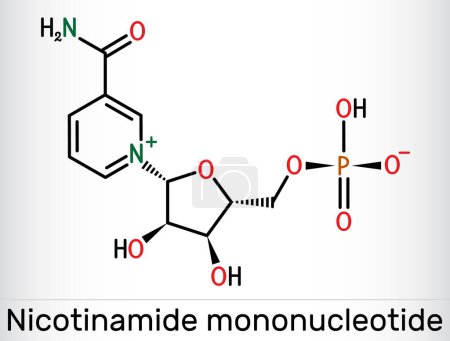 Mononucleótido de nicotinamida, molécula NMN. Es naturalmente anti-envejecimiento metabolito, precursor de NAD +. Fórmula química esquelética. Ilustración vectorial