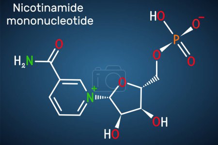 Nicotinamid-Mononukleotid, NMN-Molekül. Es ist natürlicher Anti-Aging-Metabolit, Vorläufer von NAD +. Strukturchemische Formel auf dunkelblauem Hintergrund. Vektorillustration