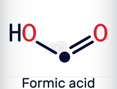Illustration for Formic acid, methanoic acid CH2O2 molecule. Skeletal chemical formula. Vector illustration - Royalty Free Image