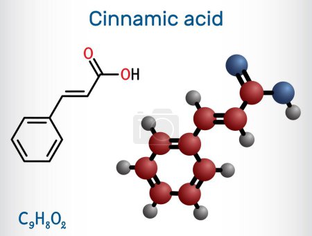 Molécule d'acide cinnamique. "Structural chemical formula and molecule model". Illustration vectorielle