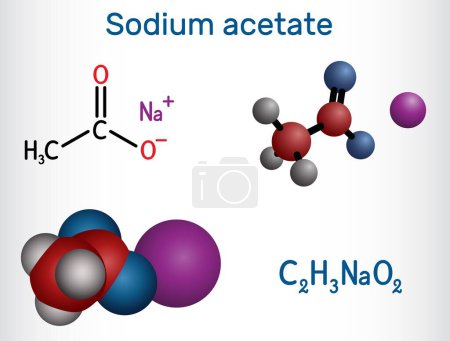 Sodium acetate molecule. It is food additive E262. Structural chemical formula and molecule model. Vector illustration