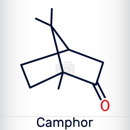 Kampfermolekül. Es ist Terpenoid und ein zyklisches Keton. Strukturchemische Formel und Molekülmodell. Vektorillustration