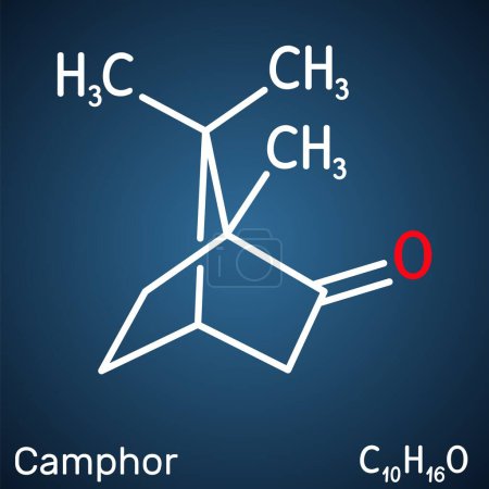Kampfermolekül. Es ist Terpenoid und ein zyklisches Keton. Strukturchemische Formel auf dunkelblauem Hintergrund. Vektorillustration