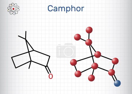 Kampfermolekül. Es ist Terpenoid und ein zyklisches Keton. Strukturchemische Formel, Molekülmodell. Blatt Papier in einem Käfig. Vektorillustration