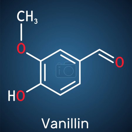 Vanillinmolekül. Es ist Geschmacksstoff. Skelettchemische Formel auf dunkelblauem Hintergrund. Vektorillustration
