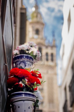 Photo for Pot of geraniums hanging on the wall with the giralda in the background - Royalty Free Image