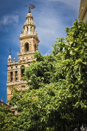 Photo for Closeup of the girlada of seville, andalusia, spain - Royalty Free Image
