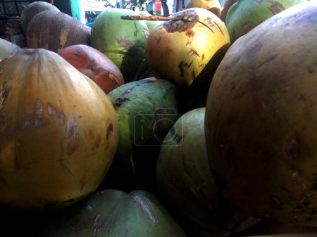 Foto de Photo of a collection of brown and green coconuts, very fresh coconut water drink - Imagen libre de derechos