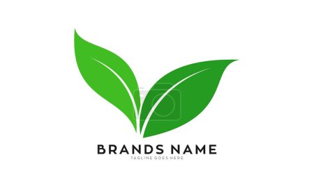 Illustration for Fresh leaf illustration logo design vector - Royalty Free Image