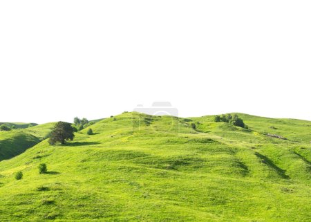 Téléchargez les photos : Paysage panoramique avec herbe verte colline isolée sur fond blanc - en image libre de droit