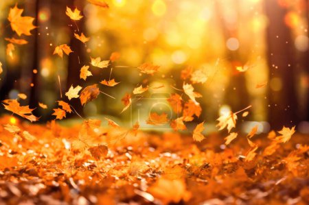Photo pour Feuilles tombant dans la forêt d'automne déconcentrée avec bokeh - image libre de droit