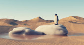Penguin standing on melting snow in the desert . Global warming concept . This is a 3d render illustration . Poster #624881070