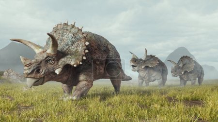Groupe de tricératops marche dans la vallée. Ceci est une illustration de rendu 3d .