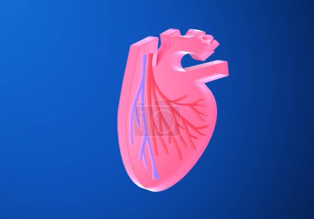 Photo for 3d illustration of the heart with veins and coronary arteries. Flat graphic representation with cutout volume on blue background. - Royalty Free Image