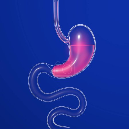 3D illustration of stomach with burning. Anatomical cut of transparent glass with lights and reflections on a dark blue background.