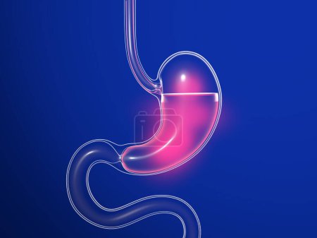 Photo for 3D illustration of stomach with burning. Anatomical cut of transparent glass with lights and reflections on a dark blue background. - Royalty Free Image
