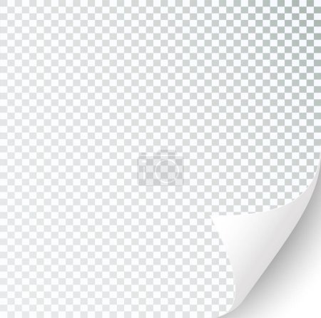 Illustration for Curly Page Corner realistic illustration. Curled corners set. Paper page curl corner, flip turn fold sheet. Sticker. Vector illustration - Royalty Free Image